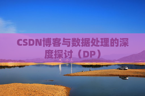 CSDN博客与数据处理的深度探讨（DP）